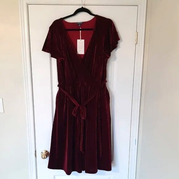 Never worn Modcloth RICH RED Velvet Dress - Picture 1 of 5